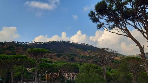 The photo shows a green mountain with blue sky and wispy white clouds